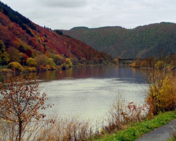 Herbst in Ediger-Eller 2